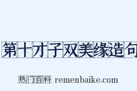 第十才子双美缘造句是什么意思的图片